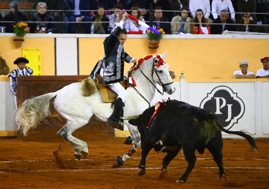 Juriquilla, viernes 1 de noviembre de 2019
