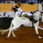 Juriquilla, viernes 1 de noviembre de 2019