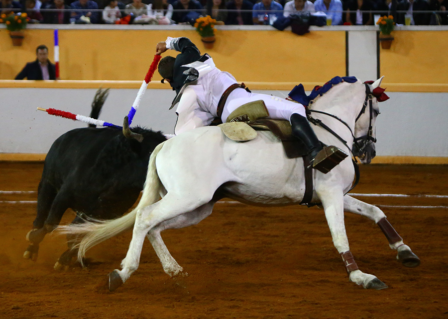 Juriquilla, viernes 1 de noviembre de 2019