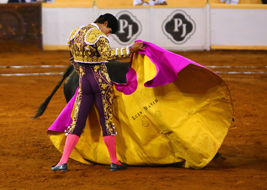 Juriquilla, viernes 1 de noviembre de 2019