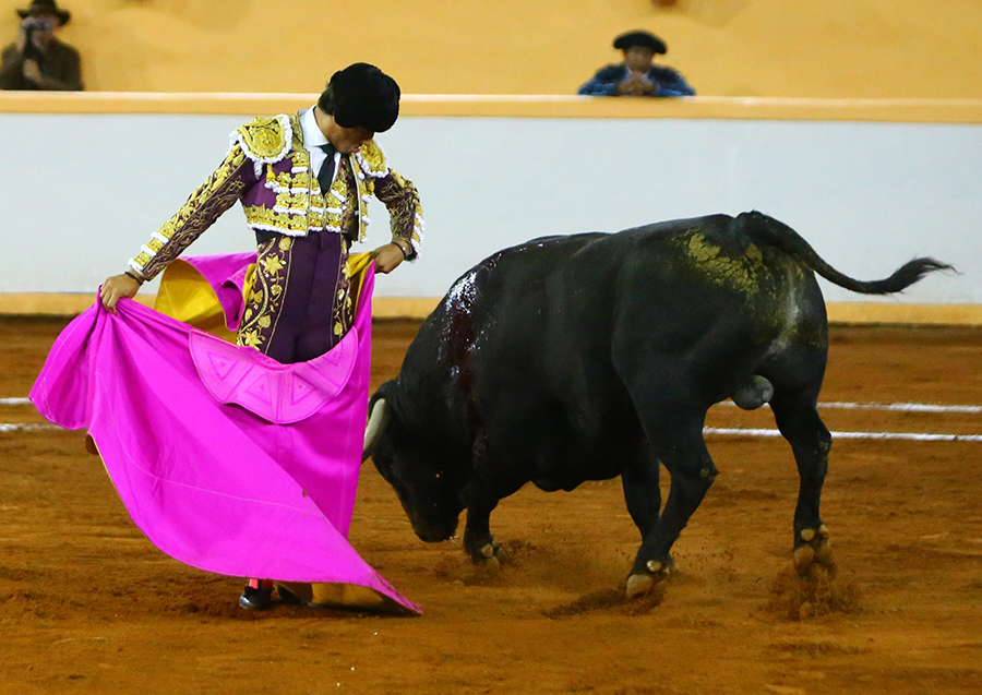 Juriquilla, viernes 1 de noviembre de 2019