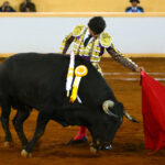 Juriquilla, viernes 1 de noviembre de 2019