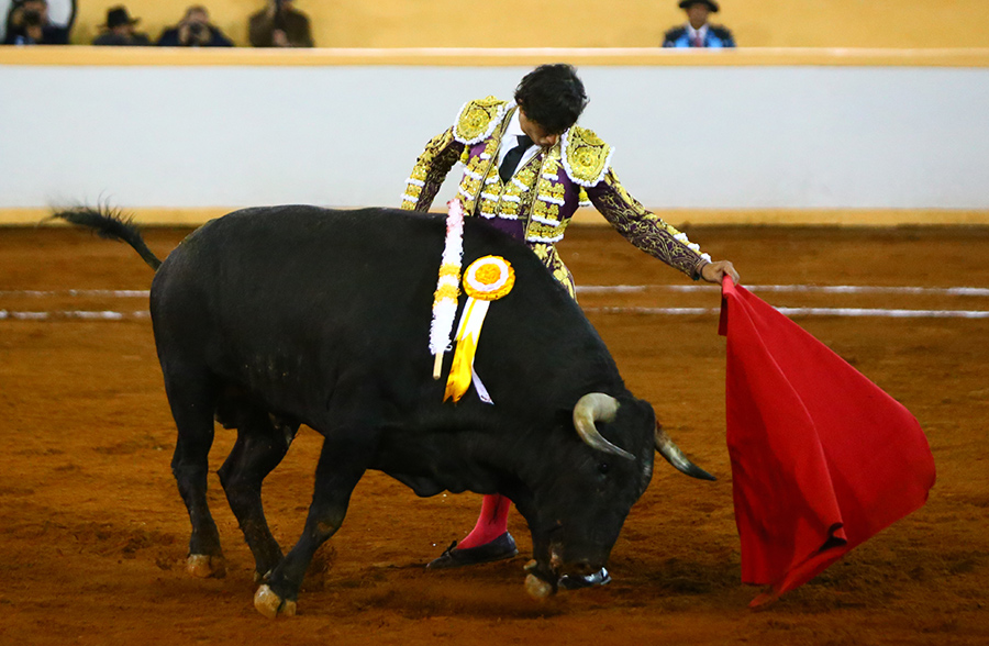 Juriquilla, viernes 1 de noviembre de 2019