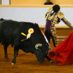 Juriquilla, viernes 1 de noviembre de 2019