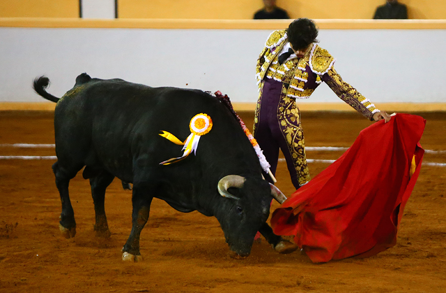 Juriquilla, viernes 1 de noviembre de 2019
