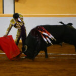 Juriquilla, viernes 1 de noviembre de 2019