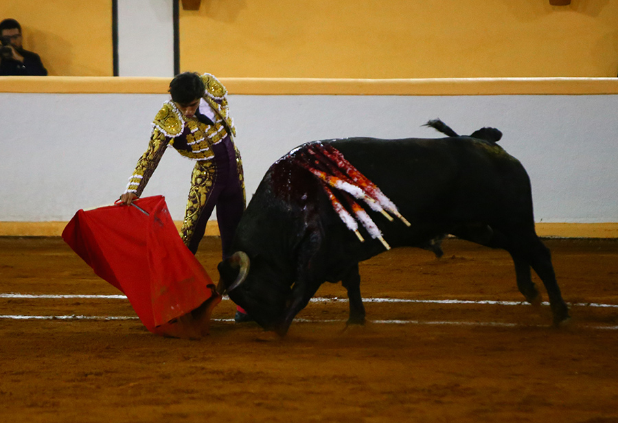 Juriquilla, viernes 1 de noviembre de 2019