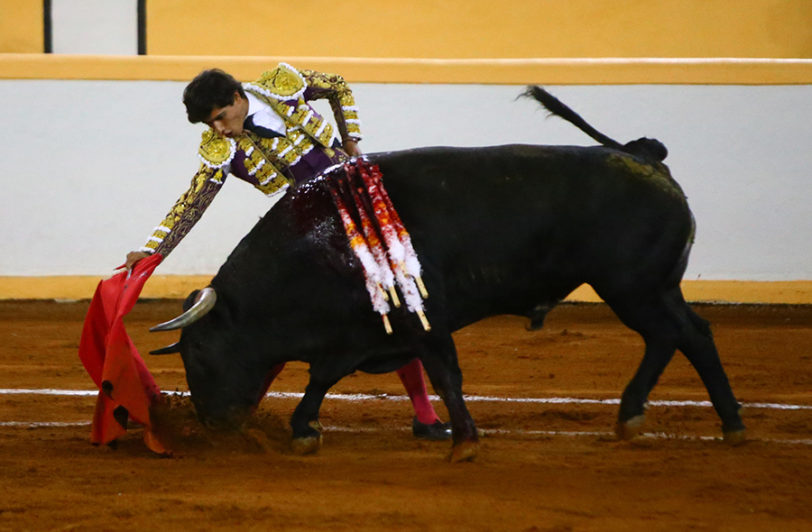 Juriquilla, viernes 1 de noviembre de 2019