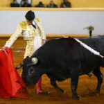 Juriquilla, viernes 1 de noviembre de 2019