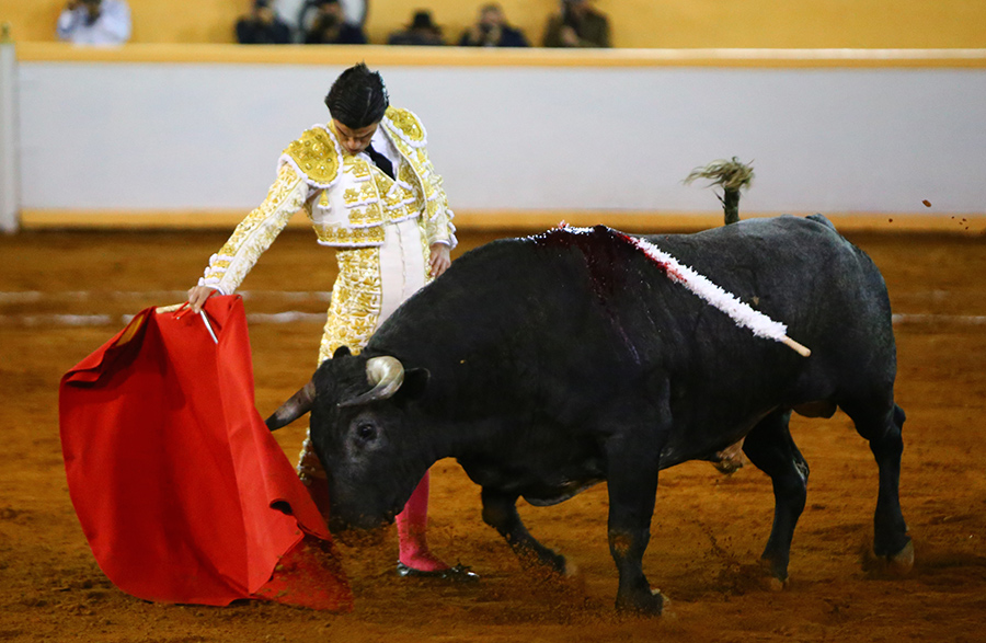 Juriquilla, viernes 1 de noviembre de 2019