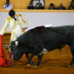 Juriquilla, viernes 1 de noviembre de 2019