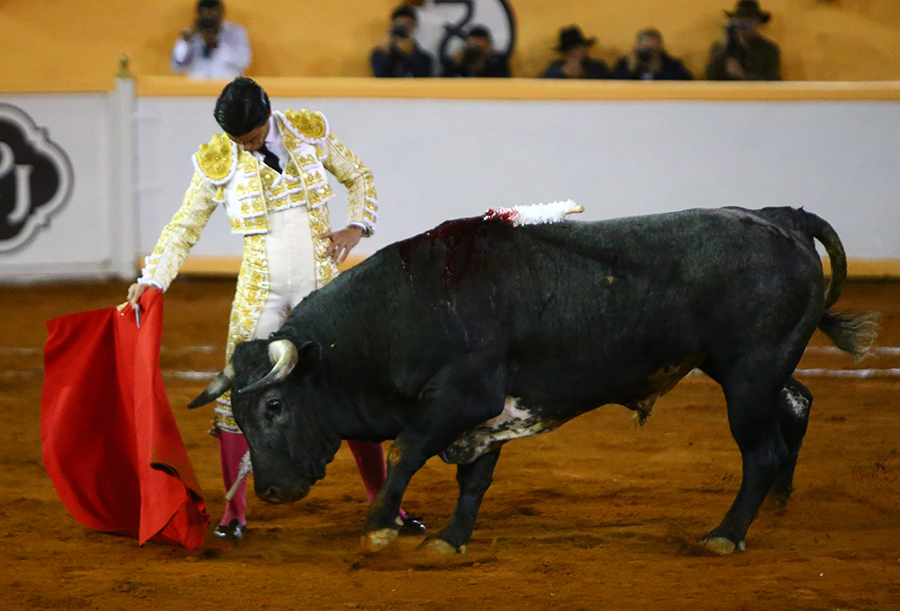 Juriquilla, viernes 1 de noviembre de 2019