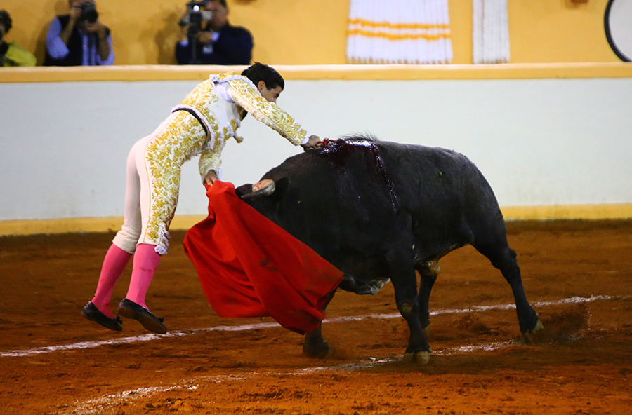 Juriquilla, viernes 1 de noviembre de 2019