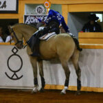 Juriquilla, viernes 1 de noviembre de 2019