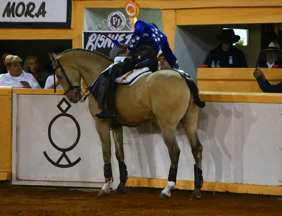 Juriquilla, viernes 1 de noviembre de 2019