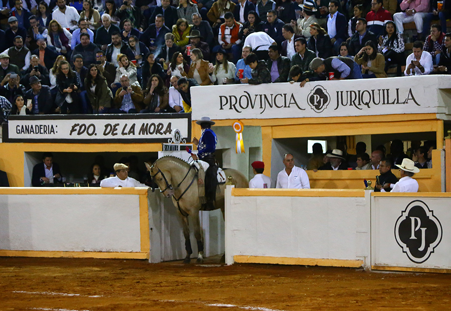 Juriquilla, viernes 1 de noviembre de 2019