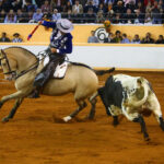 Juriquilla, viernes 1 de noviembre de 2019