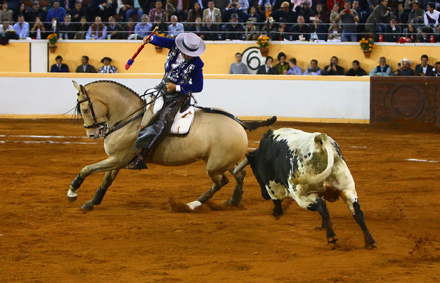 Juriquilla, viernes 1 de noviembre de 2019