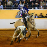 Juriquilla, viernes 1 de noviembre de 2019