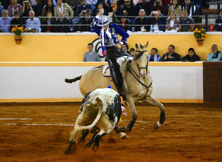 Juriquilla, viernes 1 de noviembre de 2019