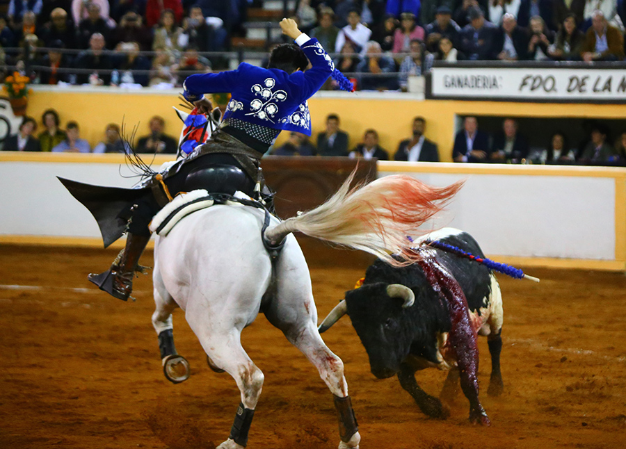 Juriquilla, viernes 1 de noviembre de 2019