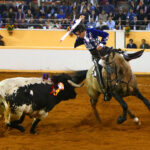 Juriquilla, viernes 1 de noviembre de 2019