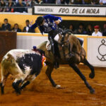 Juriquilla, viernes 1 de noviembre de 2019