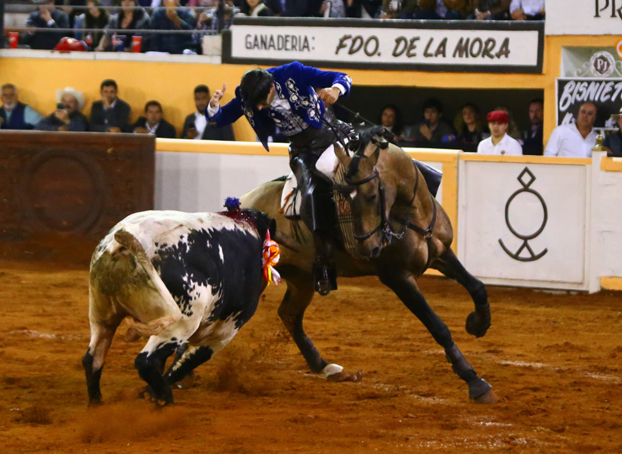 Juriquilla, viernes 1 de noviembre de 2019