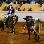 Juriquilla, viernes 1 de noviembre de 2019