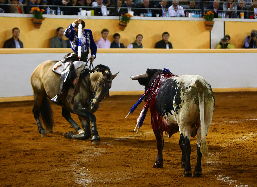 Juriquilla, viernes 1 de noviembre de 2019