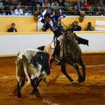 Juriquilla, viernes 1 de noviembre de 2019