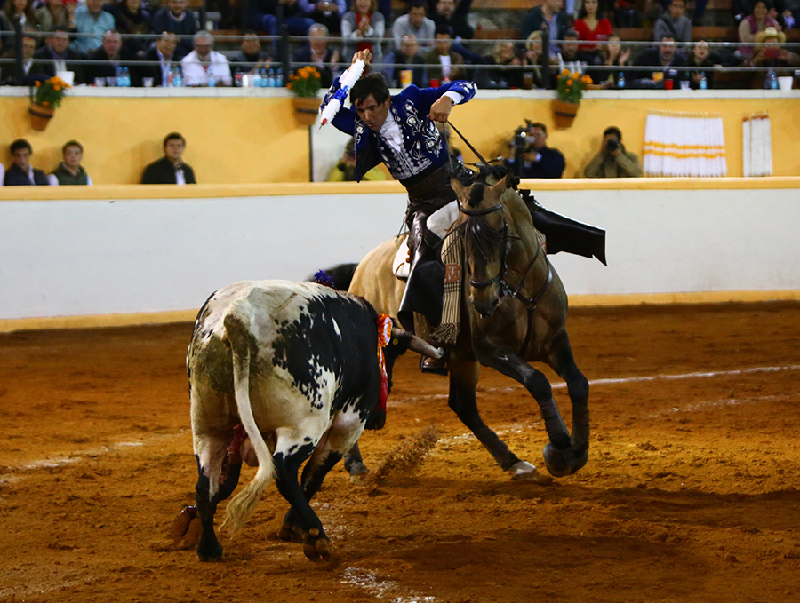 Juriquilla, viernes 1 de noviembre de 2019