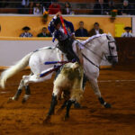 Juriquilla, viernes 1 de noviembre de 2019