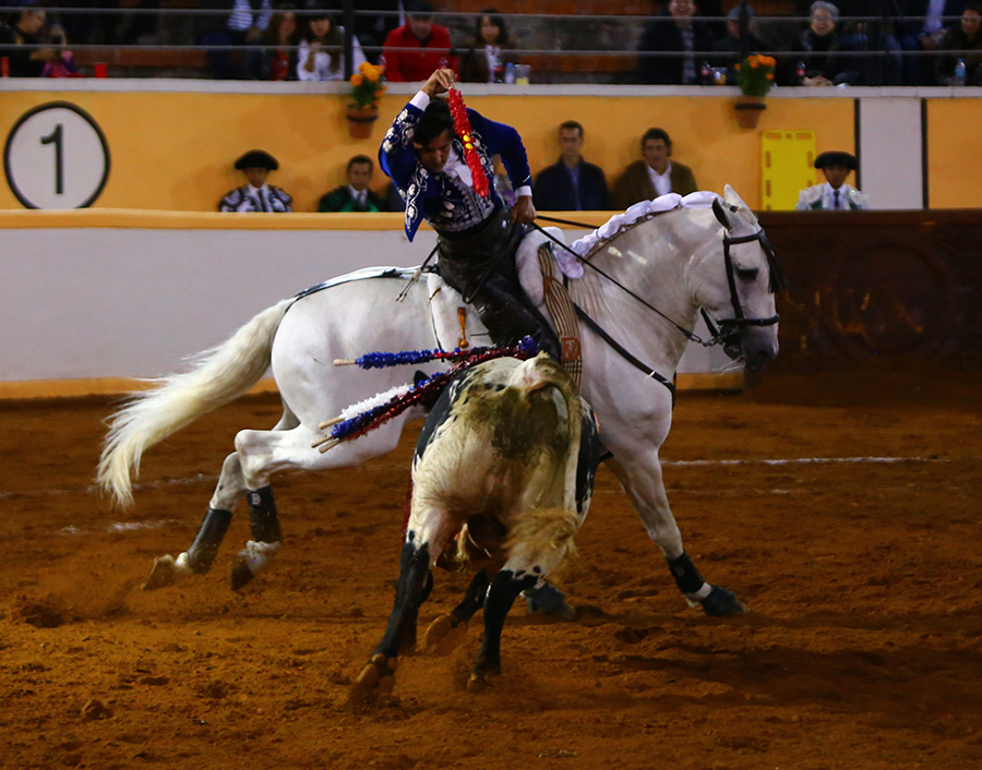 Juriquilla, viernes 1 de noviembre de 2019