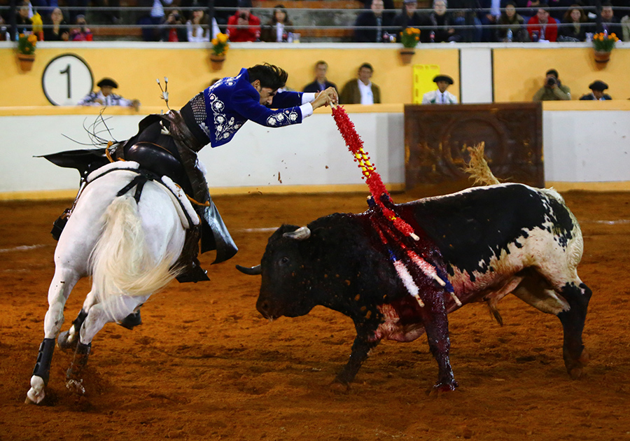 Juriquilla, viernes 1 de noviembre de 2019