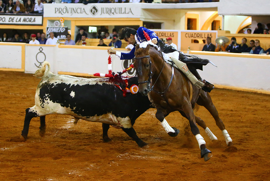 Juriquilla, viernes 1 de noviembre de 2019