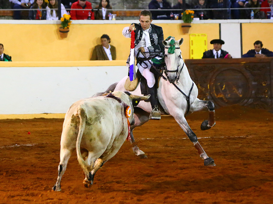 Juriquilla, viernes 1 de noviembre de 2019