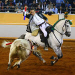 Juriquilla, viernes 1 de noviembre de 2019