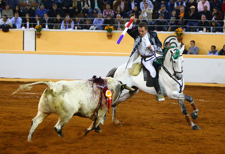 Juriquilla, viernes 1 de noviembre de 2019