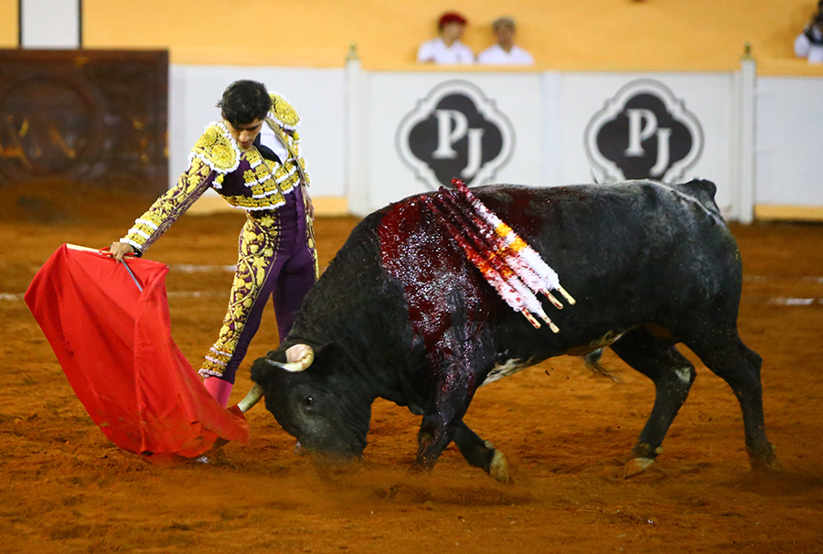 Juriquilla, viernes 1 de noviembre de 2019