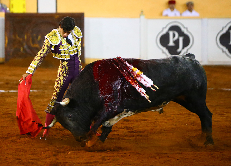 Juriquilla, viernes 1 de noviembre de 2019