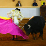 Juriquilla, viernes 1 de noviembre de 2019