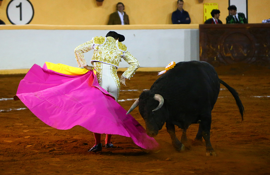 Juriquilla, viernes 1 de noviembre de 2019