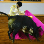 Juriquilla, viernes 1 de noviembre de 2019