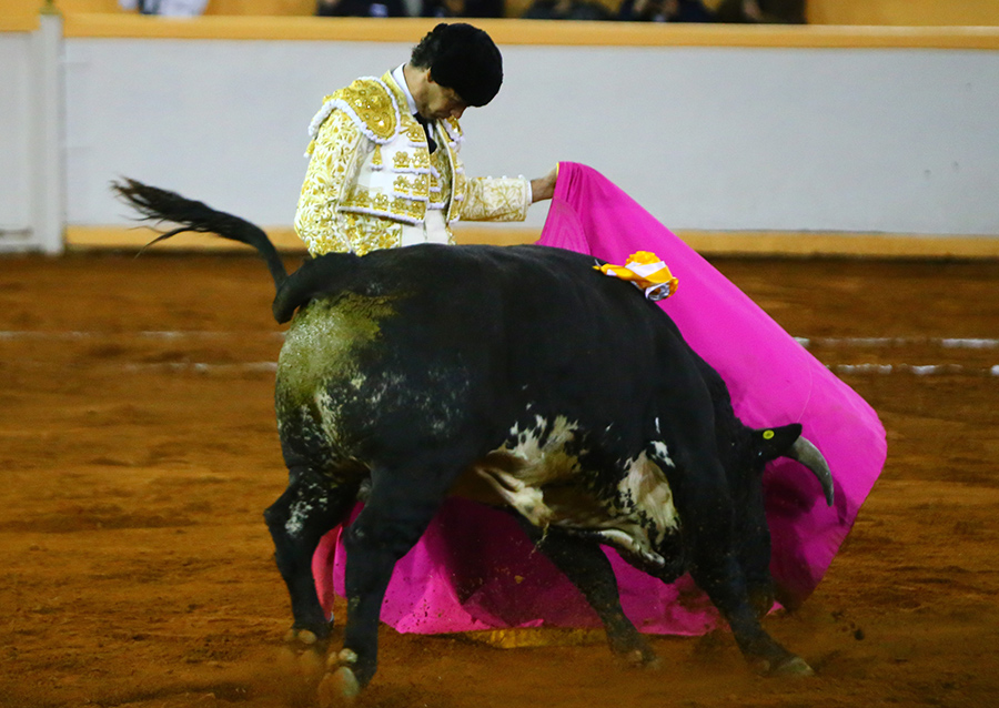 Juriquilla, viernes 1 de noviembre de 2019