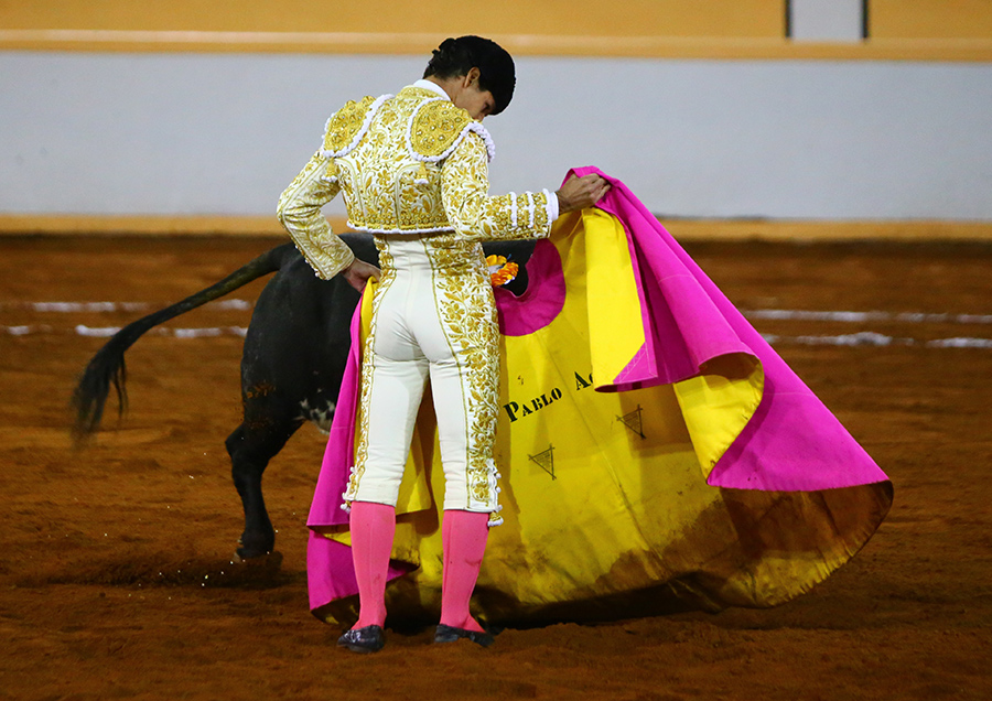 Juriquilla, viernes 1 de noviembre de 2019