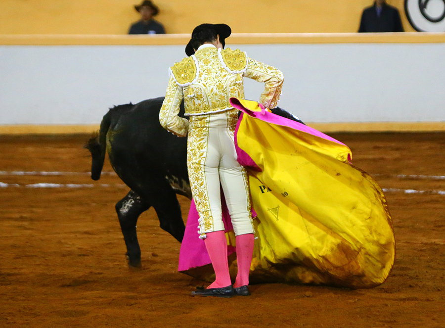 Juriquilla, viernes 1 de noviembre de 2019