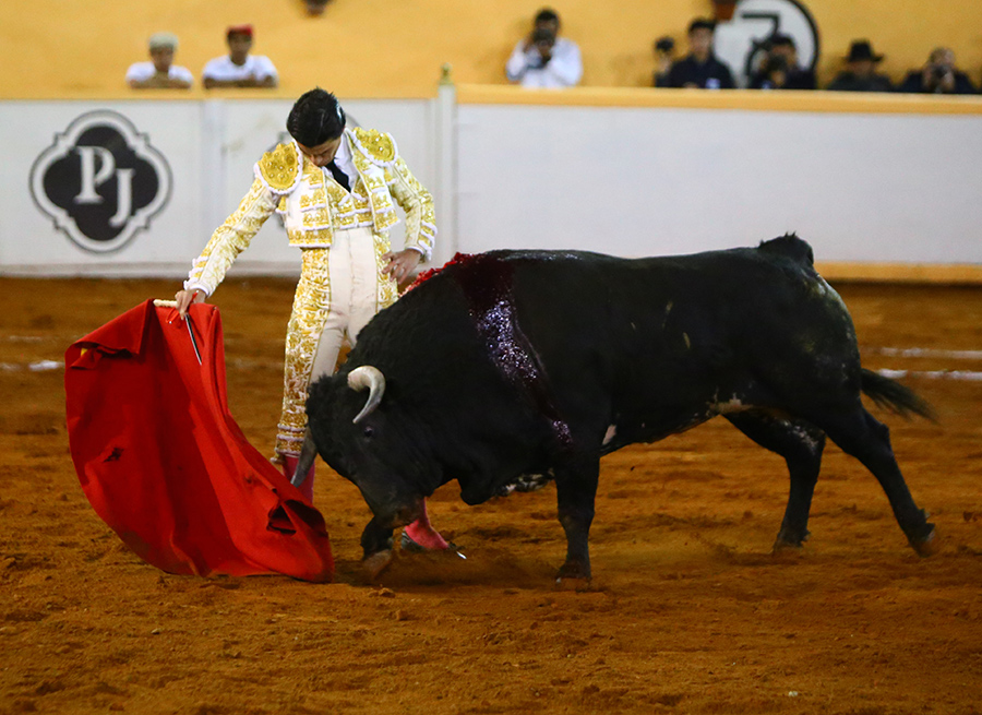 Juriquilla, viernes 1 de noviembre de 2019