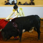 Juriquilla, viernes 1 de noviembre de 2019