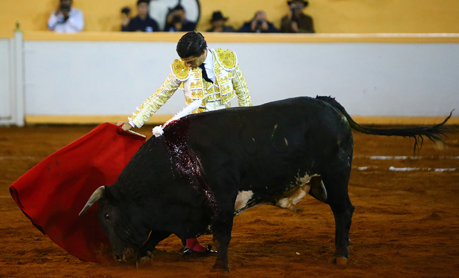 Juriquilla, viernes 1 de noviembre de 2019